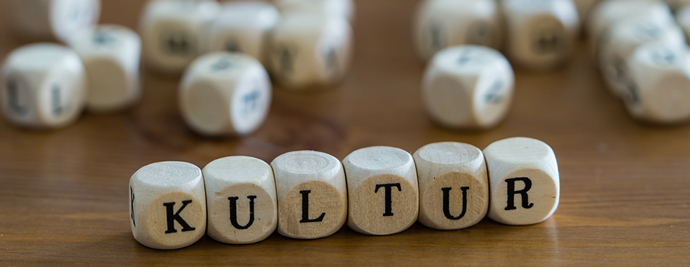 Kulturwissenschaft Sudium
